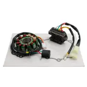 Ignition Stator Regulator& Gasket For Gas Gas EX250F EX350F MC250F MC350F 21 -24