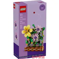 在飛比找蝦皮購物優惠-[台中可自取] ⭕現貨⭕ 樂高 LEGO 40683 花架 