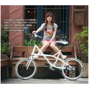 AiBIKE愛騎車 20吋(451特仕版) 27速海豚小徑車 小徑車(多色選擇)F3027-451