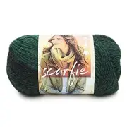 (1 Skein) Scarfie Bulky Yarn 1 Pack Forest/Black
