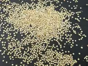 Royal Sprouted Organic Quinoa 10 pounds bulk pricing