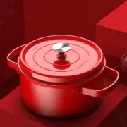 Enamel Cast Iron Pot with Lid Cookware Saucepan for Camping Kitchen Braising