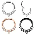 16G CZ Gem Hinged Segment Nose Hoop Septum Ring Earrings Surgical Steel Piercing