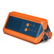 PA1K-GO 1000mg/h Portable Ozone Generator - Cordless Battery Powered Odor El
