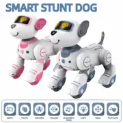 Intelligent Robot Dog Kids Remote Control Toys Programmable Smart Dancing Gift