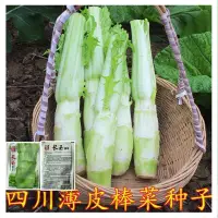 在飛比找蝦皮購物優惠-種子 棒棒菜種子四川薄皮棒菜種子大棒菜白皮芥菜種子菜頭春夏秋