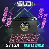 在飛比找momo購物網優惠-【SLD】鈦酸鋰ST12A(同YT12A-BS、GT12A-