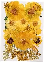 BEBEMOKO 1 Embossed Bag Dried Flowers Mini Pressed Flowers Pink Dried Wildflowers Large Dry Artificial Flowers Scrapbook Jewelry Making Flowers Pressed Flower Craft Yellow