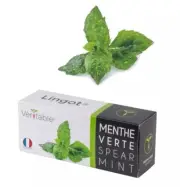Véritable Seed Lingot - Mint Spearmint for All Veritable Indoor Gardens