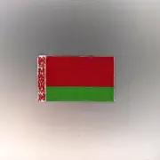 Belarus Flag Patch — Iron On Badge Embroidered Motif — Belarussian World Mini
