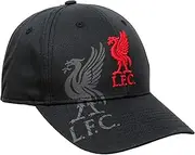 [47] Liverpool FC Obsidian Mass MVP Premiership Team Cap