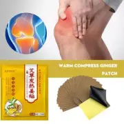 Mugwort Ginger Patches 100 Pcs Chinese Medicine Ginger Foot Patches B D1P2