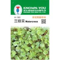 在飛比找蝦皮購物優惠-愛上種子 豆瓣菜【香藥草種子】 水芹 農友牌 香藥草包裝種子