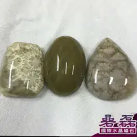 在飛比找蝦皮商城優惠-珊瑚玉 天然珊瑚化石 C組 尊貴權勢幸福與永恆 事業的瑞寶《