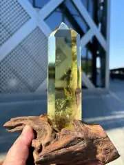 1.57LB top Natural citrine obelisk quartz crystal Tower healing Decor+wood stand