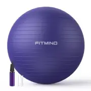 FITMIND_Extra Thick Exercise Ball 65cm Yoga Ball for Workout Pregnancy Stabil...