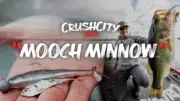 Rapala Crush City Mooch Minnow - Choose Color