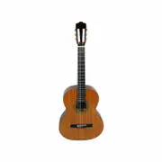 Axiom Segovia Professional Classical Guitar