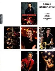 BRUCE SPRINGSTEEN CUSTOM NOVELTY TRADING CARD 6 CARDS SET