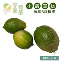 在飛比找momo購物網優惠-【宇朕蒔果】屏東B級有籽檸檬10台斤x1箱(產地直銷)