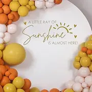A Little Ray of Sunshine is Almost Here Decal for Balloon Arch Peel & Stick - Sunshine Baby Shower Decorations,You are My Sunshine Baby Shower Decor Stickers for Backdrop,Gender Reveal Party Supplies