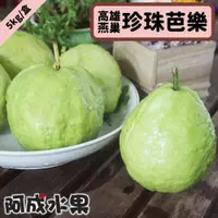 在飛比找鮮拾優惠-【阿成水果】 高雄燕巢珍珠芭樂(12~15粒/5kg/盒)