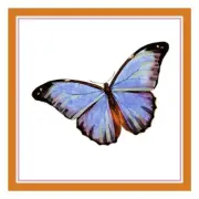 Colorful Light Blue and Black Butterfly Counted Cross Stitch Chart Pattern