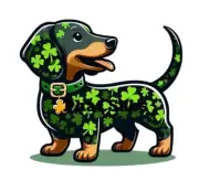 Sublimation Print Lucky Dachshund St Patties Day Ready to Press Heat Transfer