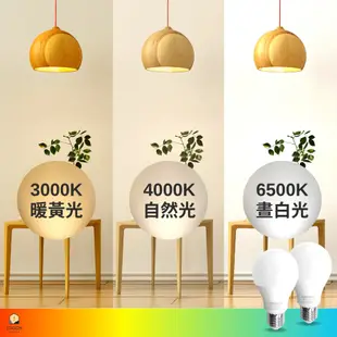 東亞 LED 9W 節能 省電 LED 燈泡