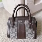 NWT Coach Andrea Mini Carryall In Signature Jacquard CU986