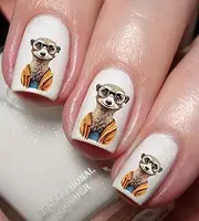 Meerkat Animal Lovers Nail Art Decal Sticker