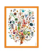 Carthusia A'mmare Cotton Pareo White Background Orange Border