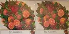 Hester & Cook 2 Packs of 12ct Paper Placemats Winter Citrus Design 20x14” Decor