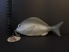 Japan Soft Squishy Silver Sea Bream Fish Key Chain Phone Bag Strap Fish Figure