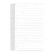 Debden A4 Notepad Dayplanner Quality Paper Soft touch Look Refill Pack of 2