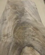 Walnut Crotch wood veneer 14" x 29" raw with no backing 1/42" AA grade ID # 23