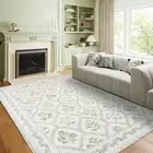 Sage Green Boho Area Rugs 5x7 for Living Room Machine Washable Light Green and