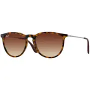 Ray-Ban Erika Brown Gradient Matte Tortoise RB4171 865/13-54