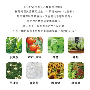 【HOKAS】植物小盆栽 教具 小小花園魔法盒 辦公室綠化 園藝用品