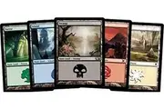 Magic: the Gathering 500 Basic Lands - 100 of Each Land Type Plains, Islands, Swamps, Mountains, Forests