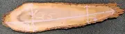 LIVE EDGE WOOD~38" LONG OVAL WALNUT PIECE WITH BARK~GREAT FOR SMALL IMPACT PIECE