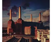 Pink Floyd Animals Cd