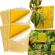 20Pcs Yellow Sticky Fruit Fly Trap for House Plants, Nontoxic Bug Killer for Indoor and Outdoor, Insects Killer for Houseplant, Fungus Gnat Plant Traps (20)