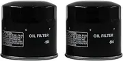 Motorcycle Oil Filter For ST1300 ABS 1261 - All VFR1200F 1237 800 INTERCEPTOR 782 XL700V TRANSALP 700 VTX1800(2 pcs)