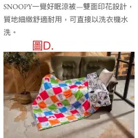 在飛比找蝦皮購物優惠-～薰之物～ 康是美 史努比 SNOOPY 一覺好眠涼被 涼被