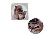 Tapestry Pet Cat Dog Square Cushion Cover 43 x 43 cm