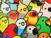 XXL "EVERY COLOR BIRDIE" Bird CAGE Seed Catcher SKIRT ONLY