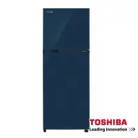 在飛比找Yahoo!奇摩拍賣優惠-TOSHIBA 東芝 226公升 變頻 電冰箱 紳士藍 GR