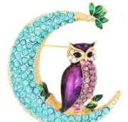 Purple owl on moon pin brooch