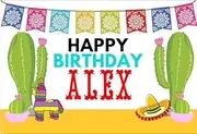 Mexican Cactus Fiesta Spanish Personalised Birthday Party Banner Backdrop c. 150cm x 220cm (5ft x 7ft)